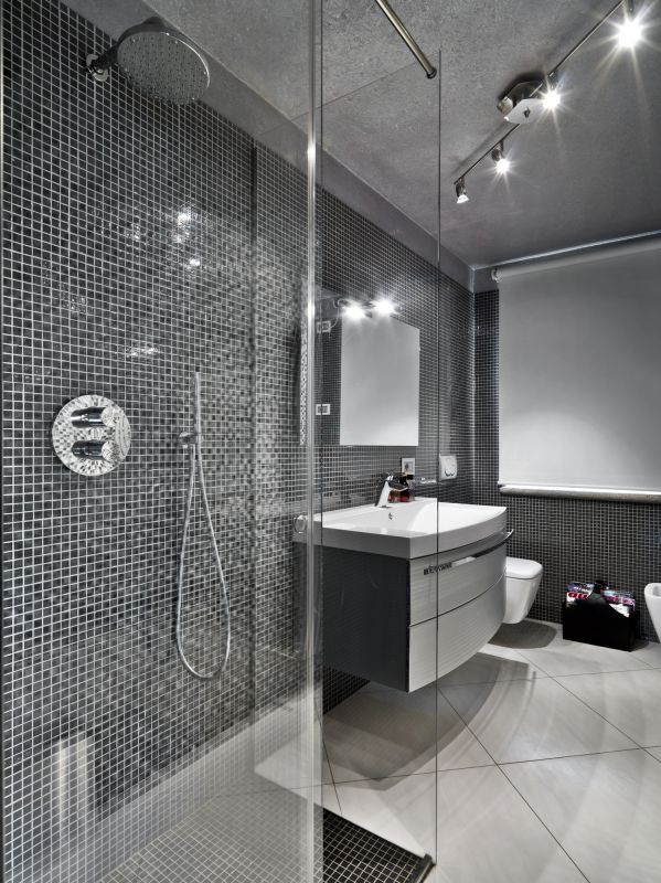 Luxurious Shower Area